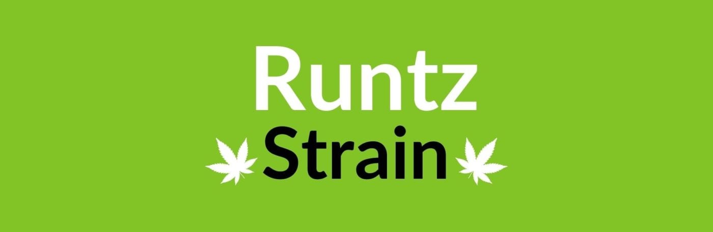 Runtz Strain Review & Information